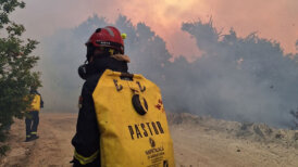 Srpski vatrogasci danas pomagali u gašenju požara kod grčkog sela Provatonas (FOTO) 4