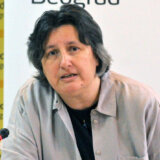 Andrić: Poslodavci da odgovaraju krivično kada radnici izgube život na radnom mestu 11