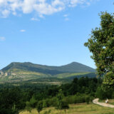 EU je konačno dala zeleno svetlo revolucionarnom Zakonu o obnovi prirode: U planu je obnavljanje 20 odsto kopna i mora do 2030. 12