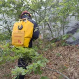 Izbio požar na Svetoj Gori: Potpuno uništena ćelija jednog manastira (VIDEO) 4
