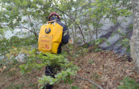 Srpski vatrogasci danas pomagali u gašenju požara kod grčkog sela Provatonas (FOTO) 5