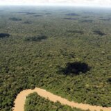 Ekvador glasa na istorijskom referendumu o vađenju nafte u Amazonu 1