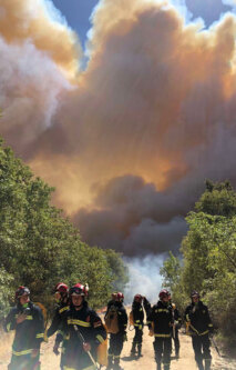 Srpski vatrogasci danas pomagali u gašenju požara kod grčkog sela Provatonas (FOTO) 6
