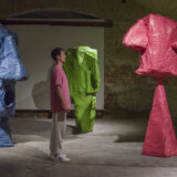 Ne propustite izložbu u Temišvaru, do 24. avgusta :„BEZ NAZIVA: skulptura posle skulpture“ 1