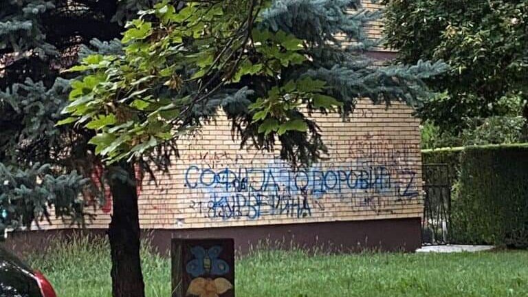 LSV: Kazniti napadače koji prete Sofiji Todorović 2 LSV: Kazniti napadače koji prete Sofiji Todorović 2