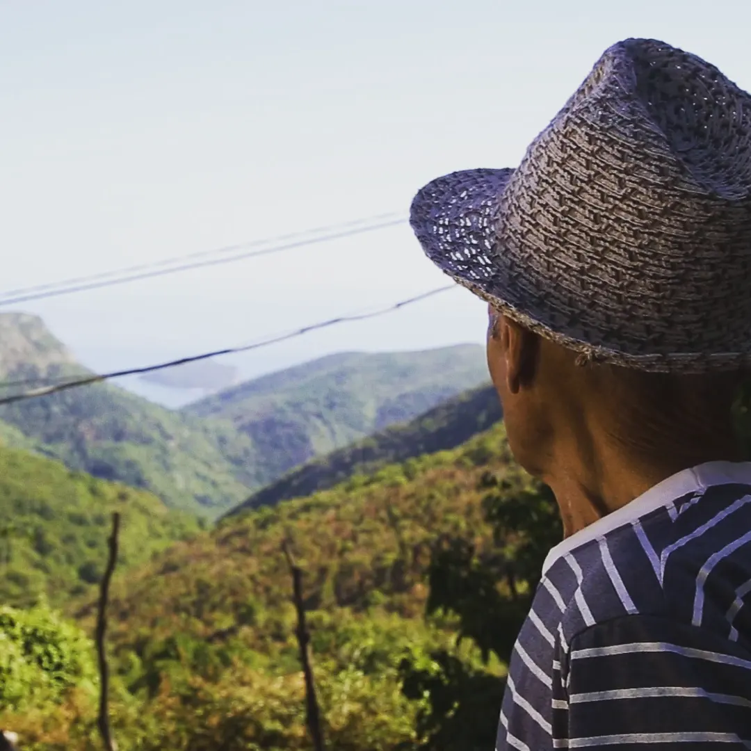 “Film koji pokazuje kako izgleda kuvanje žabe”: Aleksandar Reljić, povodom premijere svog ostvarenja "Mamula All Inclusive" na 29. Sarajevo film festivalu 2 “Film koji pokazuje kako izgleda kuvanje žabe”: Aleksandar Reljić, povodom premijere svog ostvarenja "Mamula All Inclusive" na 29. Sarajevo film festivalu 2