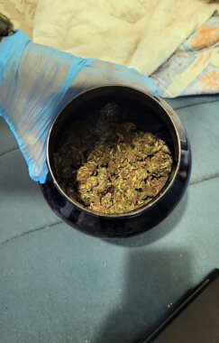 U Kragujevcu otkrivena laboratorija za proizvodnju marihuane 2