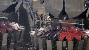 Vlada Srbije usvojila je na današnjoj sednici izmenu Uredbe o vanrednoj interventnoj meri podrške pravnim licima i preduzetnicima koji skladište malinu roda 2025. godine, kako bi se pravovremeno otklonili tržišni poremećaji.