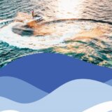 Zrenjanin organizuje obuku u vožnji skutera na Tisi 5