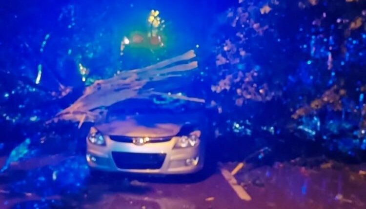 Javni poziv Kragujevčanima za prijavu štete od elementarnih nepogoda 1