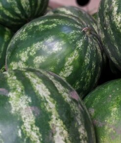 Voće i povrće na kragujevačkim pijacama bezbedno za upotrebu, mlečni proizvodi mikrobiološki neispravni 3