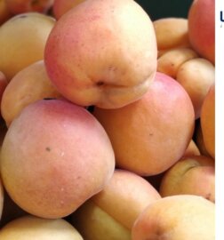 Voće i povrće na kragujevačkim pijacama bezbedno za upotrebu, mlečni proizvodi mikrobiološki neispravni 4