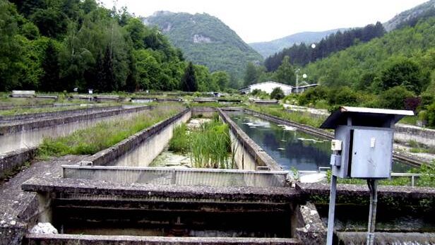 Oživljavanje ribnjaka na Pazarištu kod Novog Pazara: U planu gradnja fabrike za preradu ribe 1