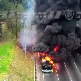 Zapalio se autobus, vatra se proširila i po putu (VIDEO) 8