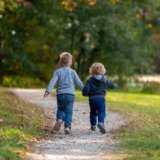 Novi Sad dobija park pored Spensa: Na mestu propalog Dino parka nova zelena oaza 7