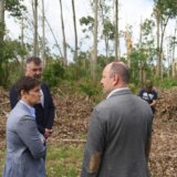 Brnabić: Šteta od nevremena se meri stotinama miliona evra 3