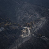 Šumski požar nekontrolisano gori na severu Grčke 11. dan uprkos pomoći iz cele Evrope 6