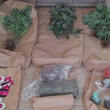 Uhapšen sa 64 biljke kanabisa 1