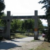 Na groblju u Nišu nađeni leševi više od 10 ptica različitih, a zaštićenih vrsta, ornitolozi strahuju da je broj veći od zatečenog 2