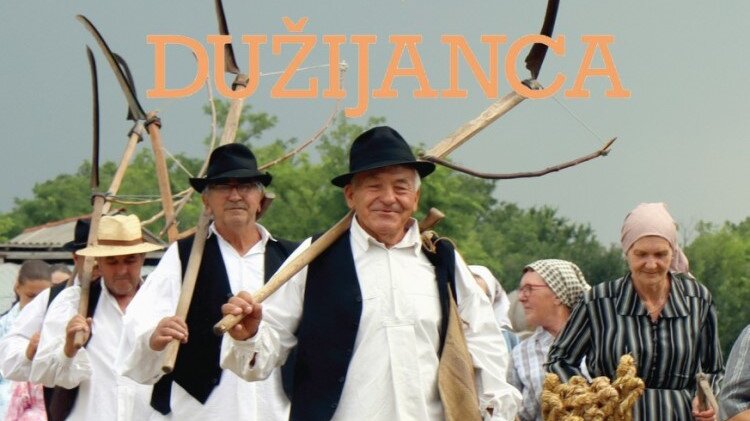 Dan Dužijance ove godine u Subotici, Novom Sadu i Beogradu 1