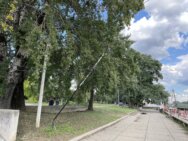 "Gole žice" i pokidani kablovi pod naponom - da li će iko reagovati na opasan prizor sa Savskog keja (FOTO) (VIDEO) 4