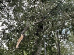 "Gole žice" i pokidani kablovi pod naponom - da li će iko reagovati na opasan prizor sa Savskog keja (FOTO) (VIDEO) 9