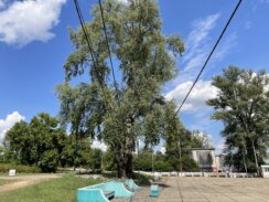 "Gole žice" i pokidani kablovi pod naponom - da li će iko reagovati na opasan prizor sa Savskog keja (FOTO) (VIDEO) 16