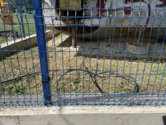 "Gole žice" i pokidani kablovi pod naponom - da li će iko reagovati na opasan prizor sa Savskog keja (FOTO) (VIDEO) 10