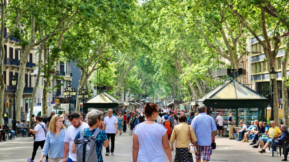 „Razgledanje 5 evra”: Vlasnik radnje se dosetio kako da udalji turiste koji neće ništa da kupe 1