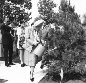 Planovi za Ekspo garant rešavanja jednovekovnog problema: Izgradnja nove zgrade Prirodnjačkog muzeja neće ugroziti zelenilo u „Parku prijateljstva“ na Ušću 3