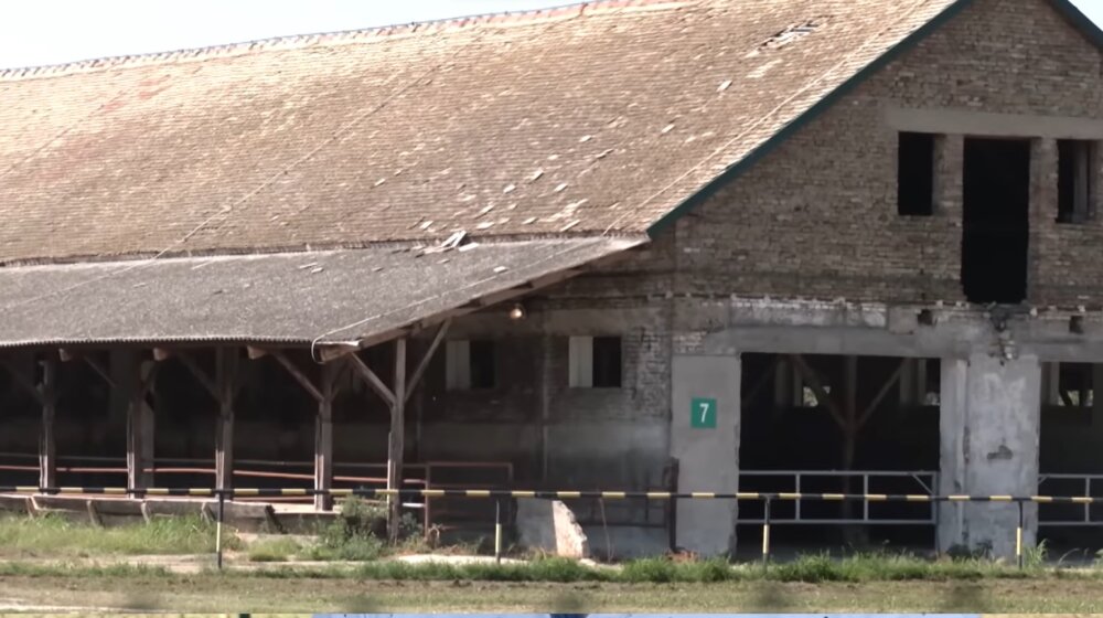 Matijević vs. radnici - zlatno doba naše poljoprivrede 1