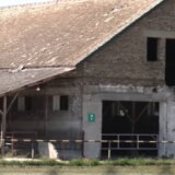 Matijević vs. radnici - zlatno doba naše poljoprivrede 5