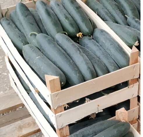 Voće i povrće na kragujevačkim pijacama bezbedno za upotrebu, mlečni proizvodi mikrobiološki neispravni 6