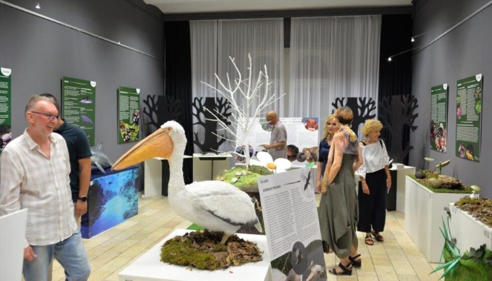 Verne replike životinja, biljaka i gljiva u Muzeju Vojvodine: Izložba "Priroda na dodir" 1