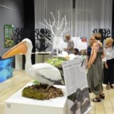 Verne replike životinja, biljaka i gljiva u Muzeju Vojvodine: Izložba "Priroda na dodir" 4