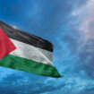 zastava palestine