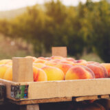 Kalajdžić: Kako je pesticid hlorpirifos dospeo do proizvođača voća u Srbiji? 4
