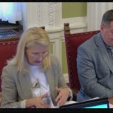 Odbor usvojio izveštaj Tanje Miščević o pregovorima o pristupanju Srbije EU 10