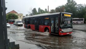 Velika količina kiše i jak vetar u Srbiji: U Beogradu ulice poplavljene (FOTO, VIDEO) 7
