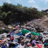 Moguć izvor zaraze i veliki ekološki problem: Nepoznate osobe bacile kese sa uginulim psima na divlju deponiju ispod Pančevačkog mosta 10