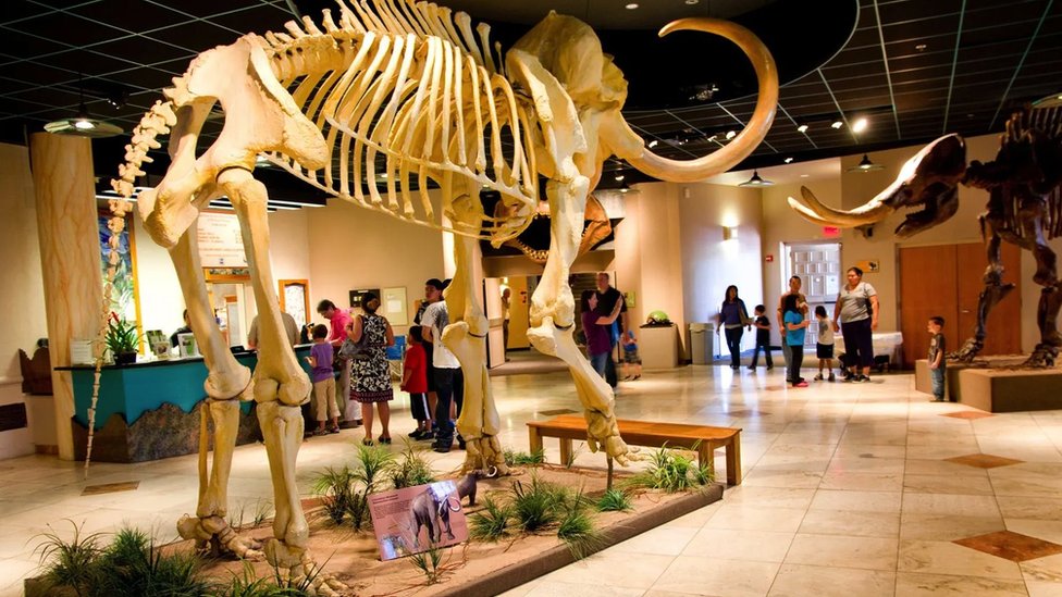 Amerika: Mesa, prvi grad prilagođen turistima sa autizmom 3 Prirodnjački muzej Arizone