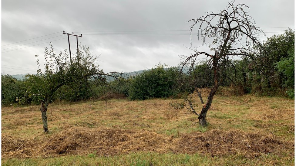 Međunarodni dan pismenosti: Jedan dan u obrazovnoj pustinji na istoku Srbije, u „školi na točkovima" 16 Gornje Zuniče. škola