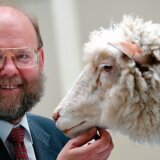Nauka, genetika i kloniranje: Umro naučnik koji je stvorio čuvenu ovcu Doli 6