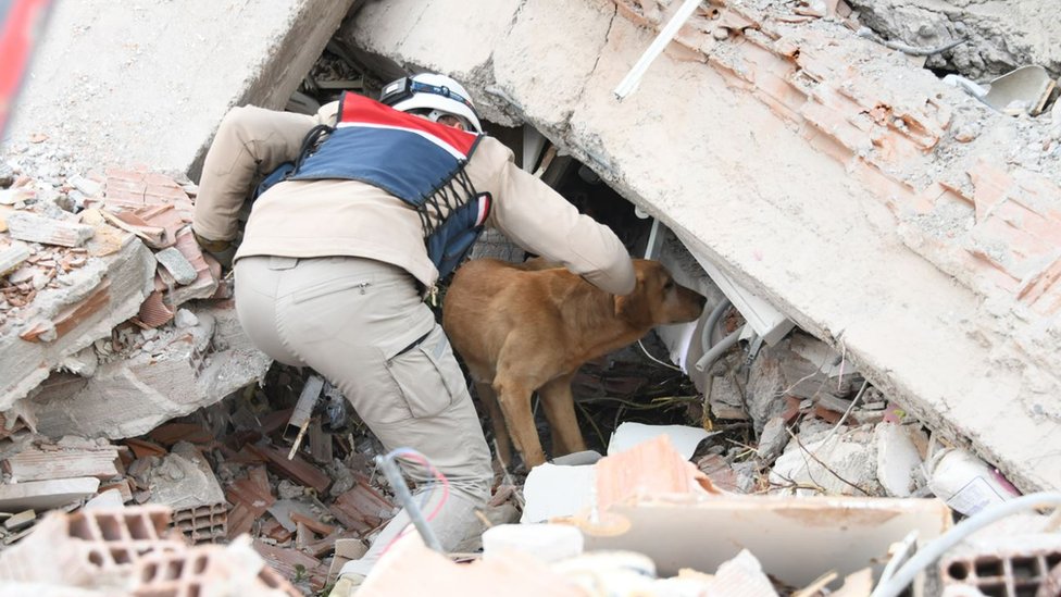 Zemljotres u Maroku: Sedam faktora zbog kojih su potresi smrtonosni 8 Search and rescue dog looks for people in the wreckage of a building