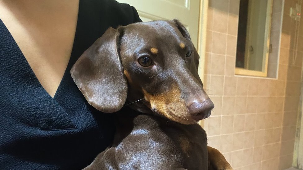 Rusi u Srbiji: „Proterani smo", zašto ruska porodica pakuje kofere 2 Nono