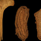 Arheologija i Španija: Pronađena najstarija cipela u Evropi 8