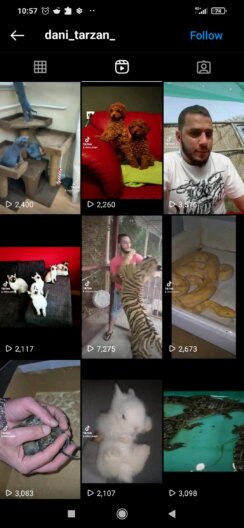 Javno crno tržište divljih zveri i blaga kaznena politika: Kako krijumčarenje životinja funkcioniše u Srbiji? 6