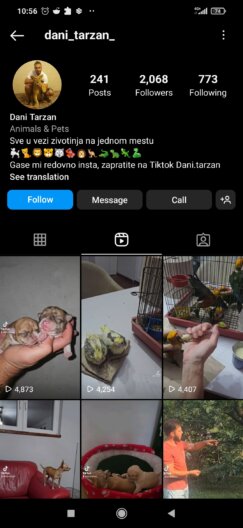 Javno crno tržište divljih zveri i blaga kaznena politika: Kako krijumčarenje životinja funkcioniše u Srbiji? 7