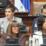 "Neće biti plata i penzija": Brnabić o tome šta čeka Srbiju ako opozicija postane vlast 11