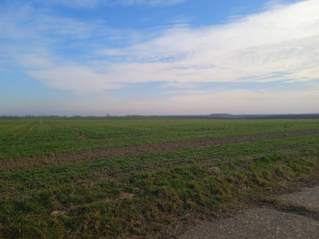 “Teraju nas da čekamo milostinju”: Poljoprivrednici pred sutrašnji sastanak sa ministarkom Tanasković 2